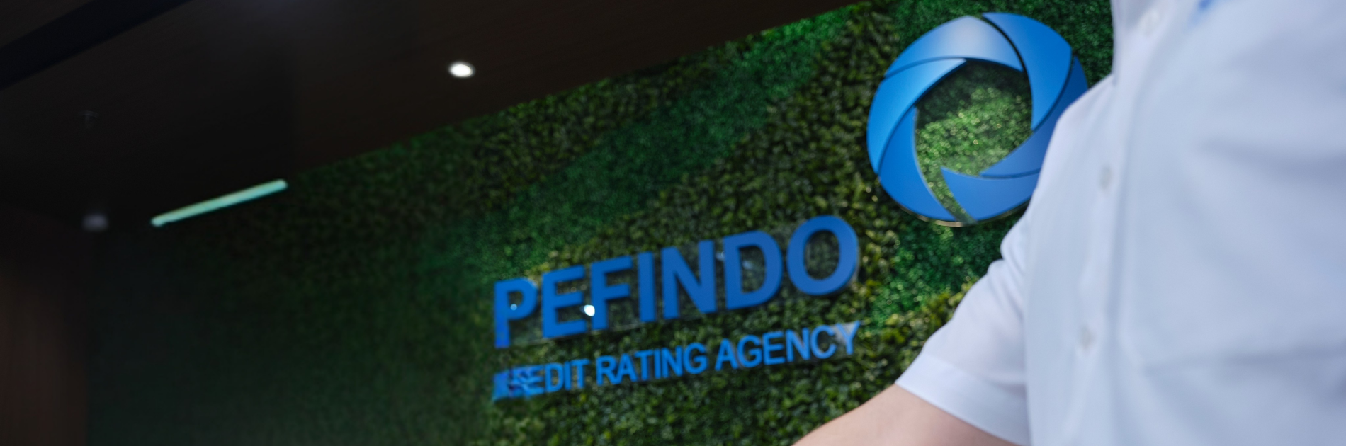 About PEFINDO